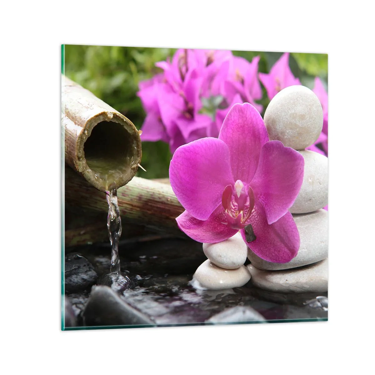 Glasbild - Bild auf glas - Du ruhst dich schon aus - 50x50 cm