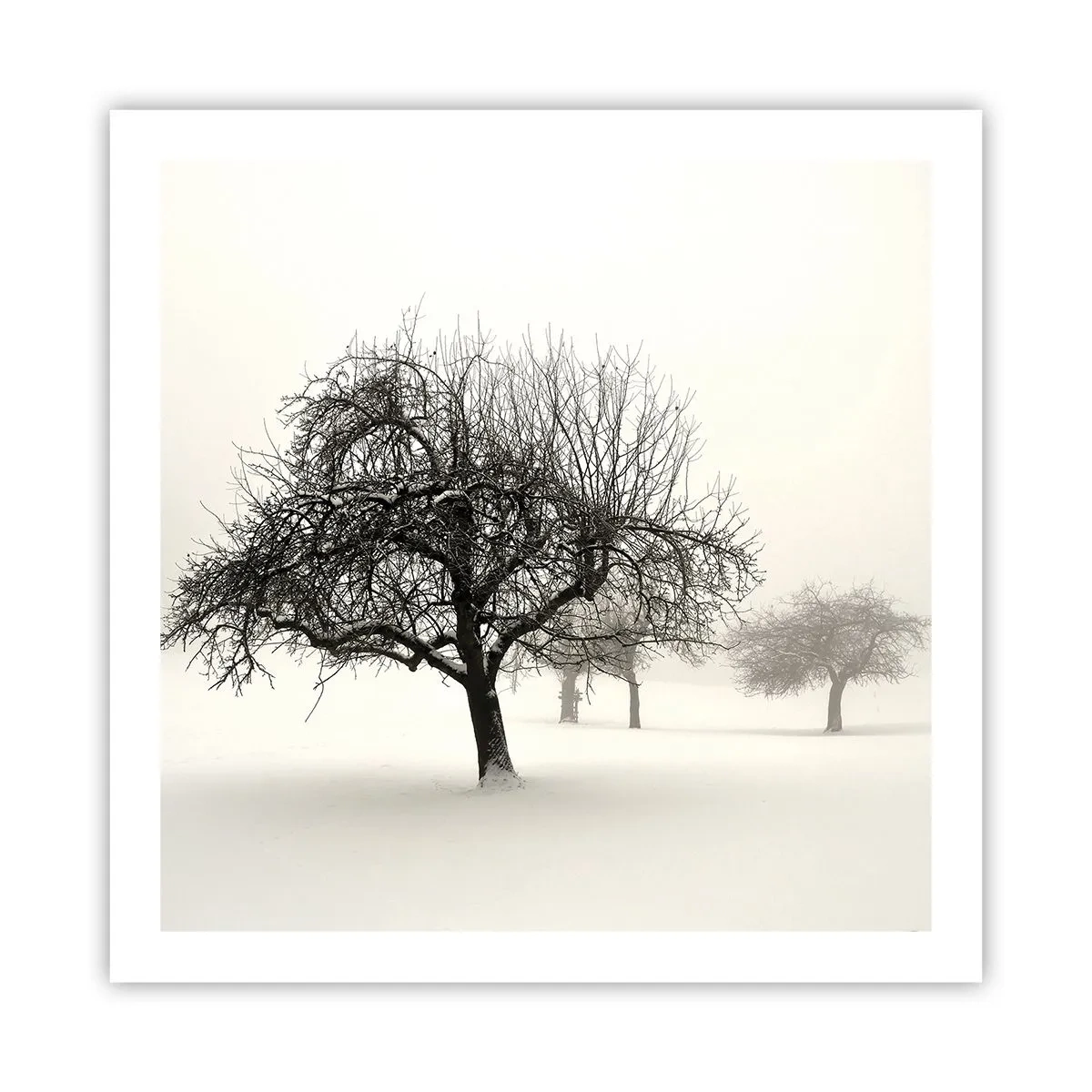 Poster - Winterschlaf - 60x60 cm