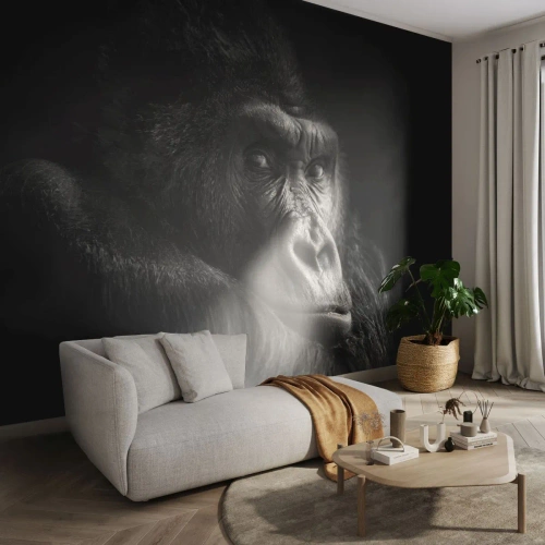 Maßgeschneiderte Fototapete Premium Sand - Und was guckst du so? - Affe, Gorilla, Tiere