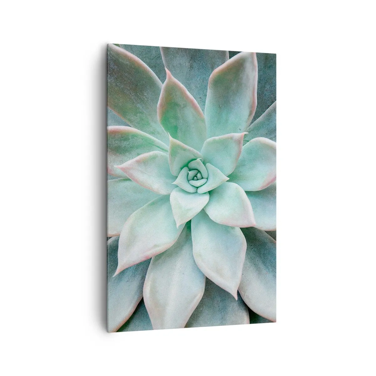 Bild auf Leinwand - Leinwandbild - Nahaufnahme einer grünen Sukkulente - 80x120cm - Das Herz der Wüste - Moderne Wanddekoration für Wohnzimmer und Schlafzimmer ARTTOR