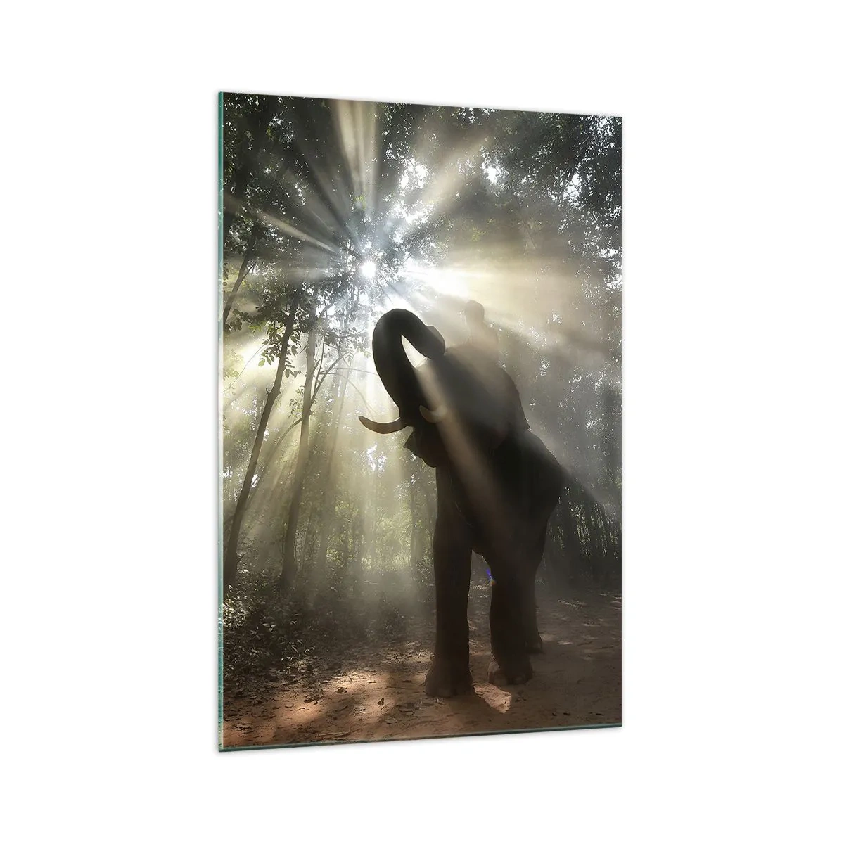 Glasbild - Bild auf glas - Ein Elefant im Wald, umgeben von Lichtstrahlen im Morgennebel - 70x100cm - Unter dem Glücksstern - Moderne Wanddekoration für Wohnzimmer und Schlafzimmer ARTTOR