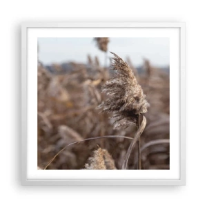 Poster in einem weißen Rahmen - Zeit, mit dem Wind zu gehen - 50x50 cm
