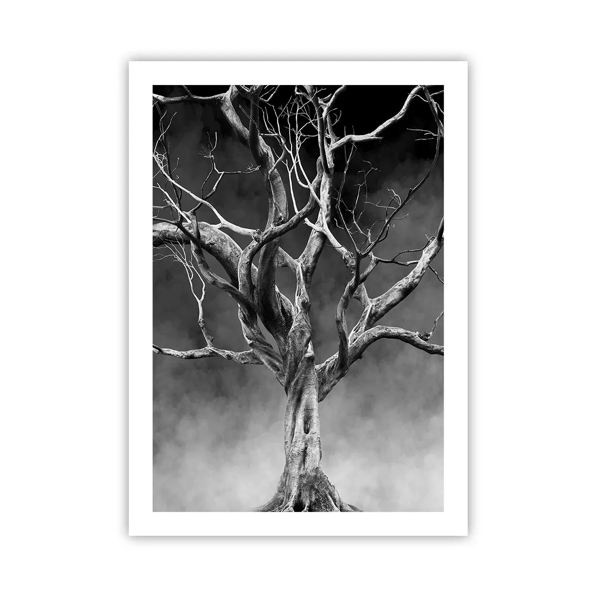 Poster - Schwarz-Weiß-Bild eines Baumes vor einem Nebelhintergrund - 50x70cm - Ursprünglich und heilig - Moderne Wanddekoration für Wohnzimmer und Schlafzimmer ARTTOR