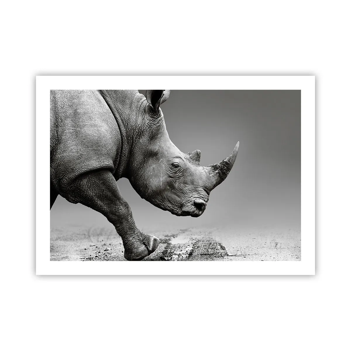 Poster - Unaufhaltsame Stärke - 70x50 cm