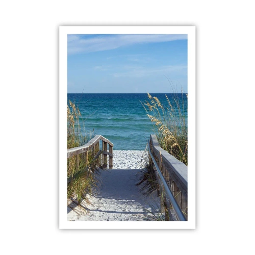 Poster - In der Sonne, im Wind - 61x91 cm