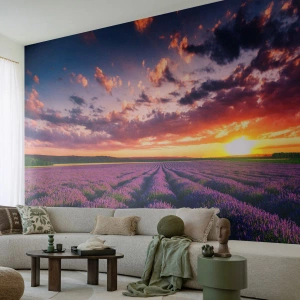 Maßgeschneiderte Fototapete Premium Sand - Lavendel Welt - Landschaft, Lavendelfeld, Lavendel