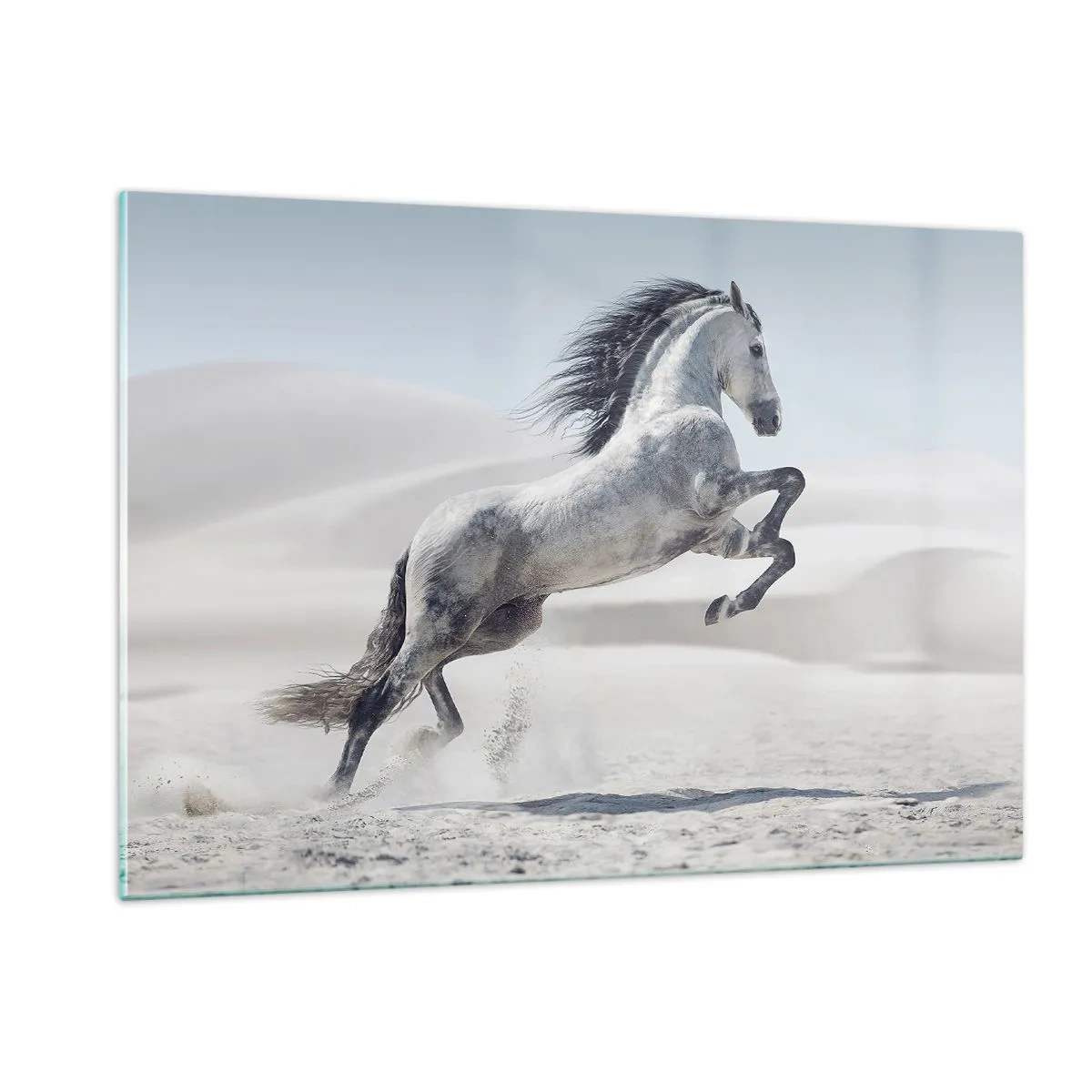 Glasbild - Bild auf glas - Ein weißes Pferd springt vor der Kulisse der Wüstendünen - 120x80cm - Arabischer Prinz - Moderne Wanddekoration für Wohnzimmer und Schlafzimmer ARTTOR