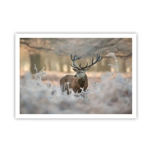 Poster - Ein Reh auf einer frostigen Lichtung in einem Winterwald mit dezenten Farben - 100x70cm - Ein flotter Morgen - Moderne Wanddekoration für Wohnzimmer und Schlafzimmer ARTTOR