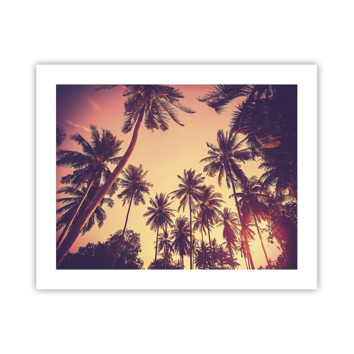 Poster - Tropische Variante - 50x40 cm