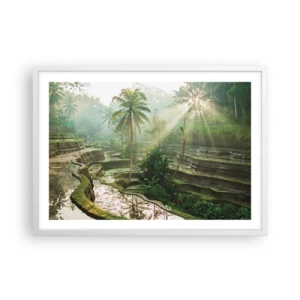 Poster in einem weißen Rahmen - In der Sonne aufwachsen - 70x50 cm