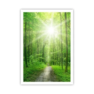 Poster - Die grüne Kathedrale - 70x100 cm