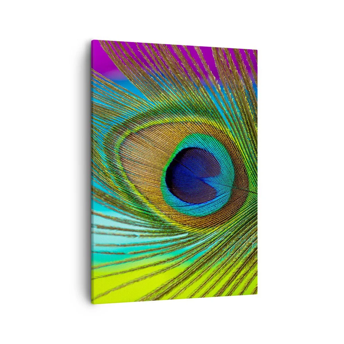 Bild auf Leinwand - Leinwandbild - Nahaufnahme einer Pfauenfeder mit lebendigen Farben - 50x70cm - Auge in Auge - Moderne Wanddekoration für Wohnzimmer und Schlafzimmer ARTTOR