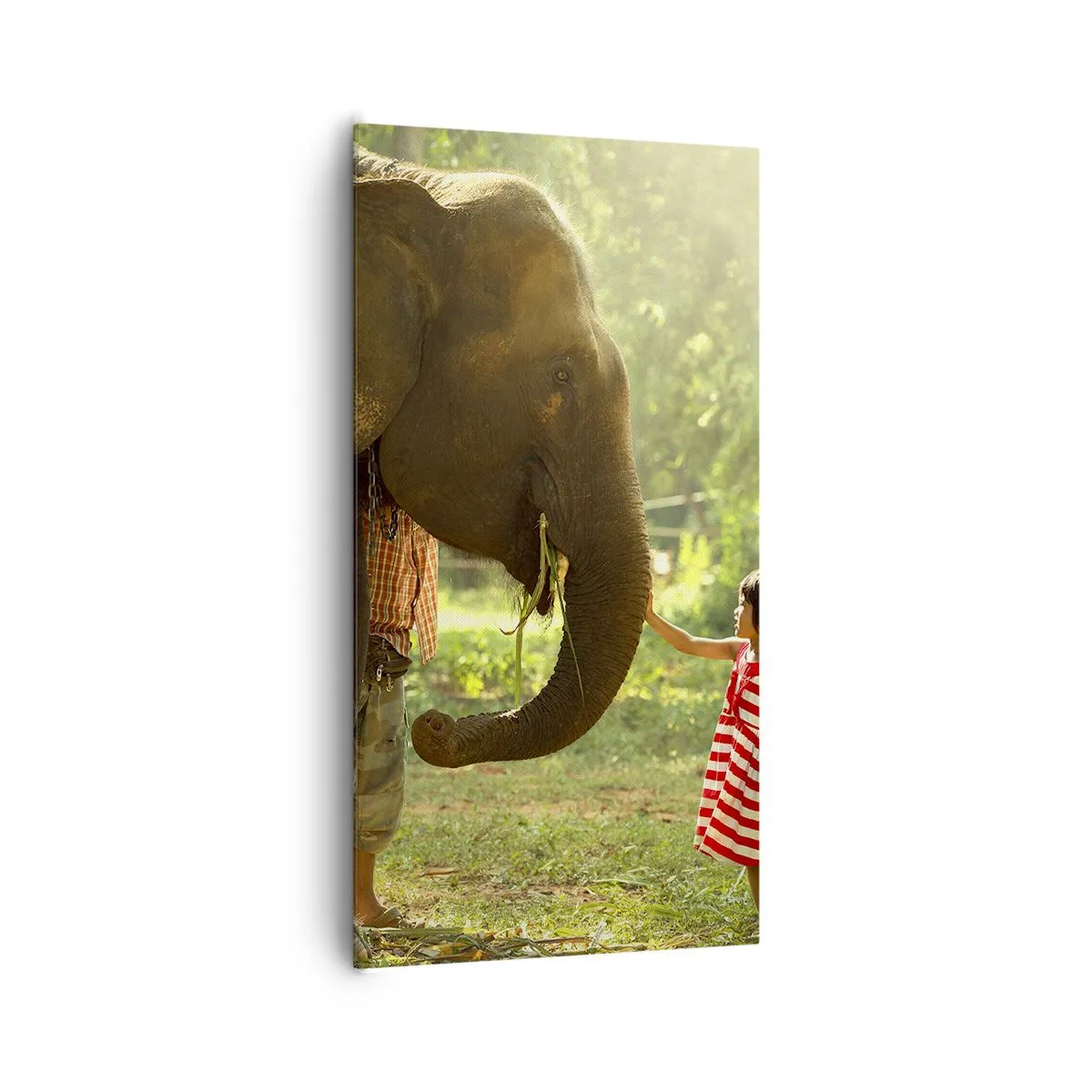 Bild auf Leinwand - Leinwandbild - Die Stärke der Freundschaft - 65x120 cm