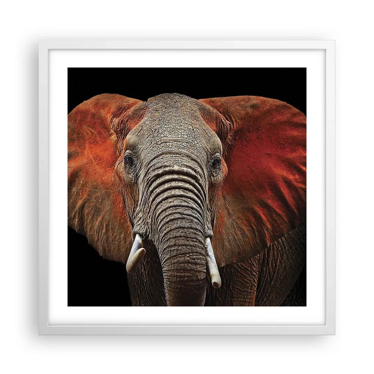 Poster in einem weißen Rahmen - Ich bin wild und du? - 50x50 cm