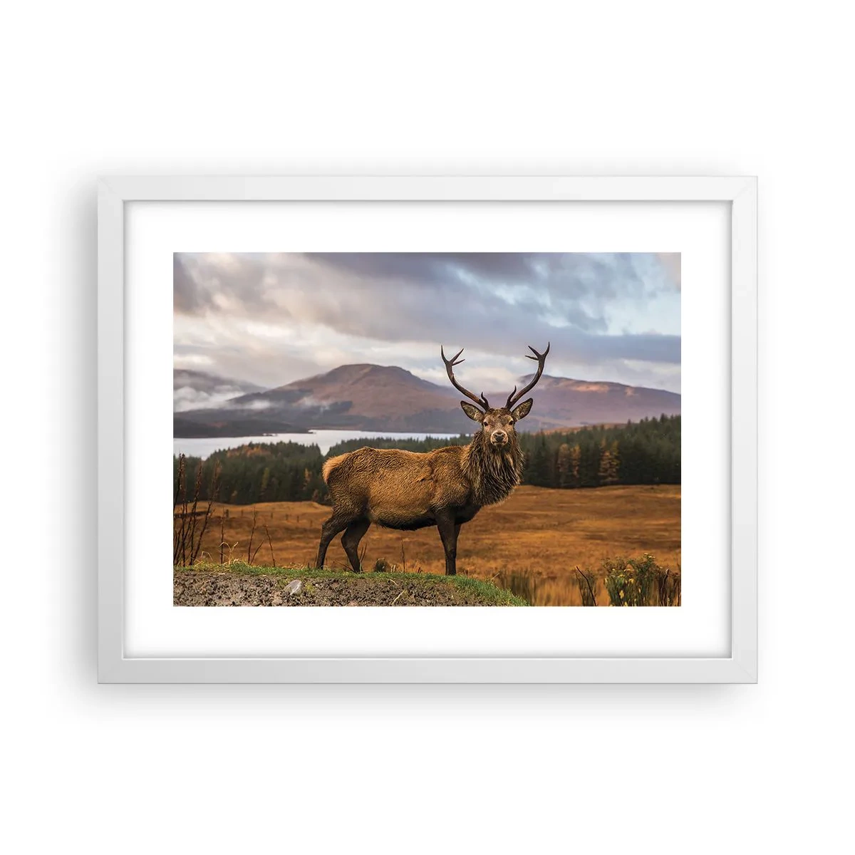 Poster in einem weißen Rahmen - Die Majestät der Natur - 40x30 cm