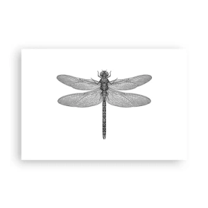 Poster - Präzision der Natur - 91x61 cm