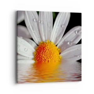 Bild auf Leinwand - Leinwandbild - Die aufgehende Sonne der Gänseblümchen - 40x40 cm