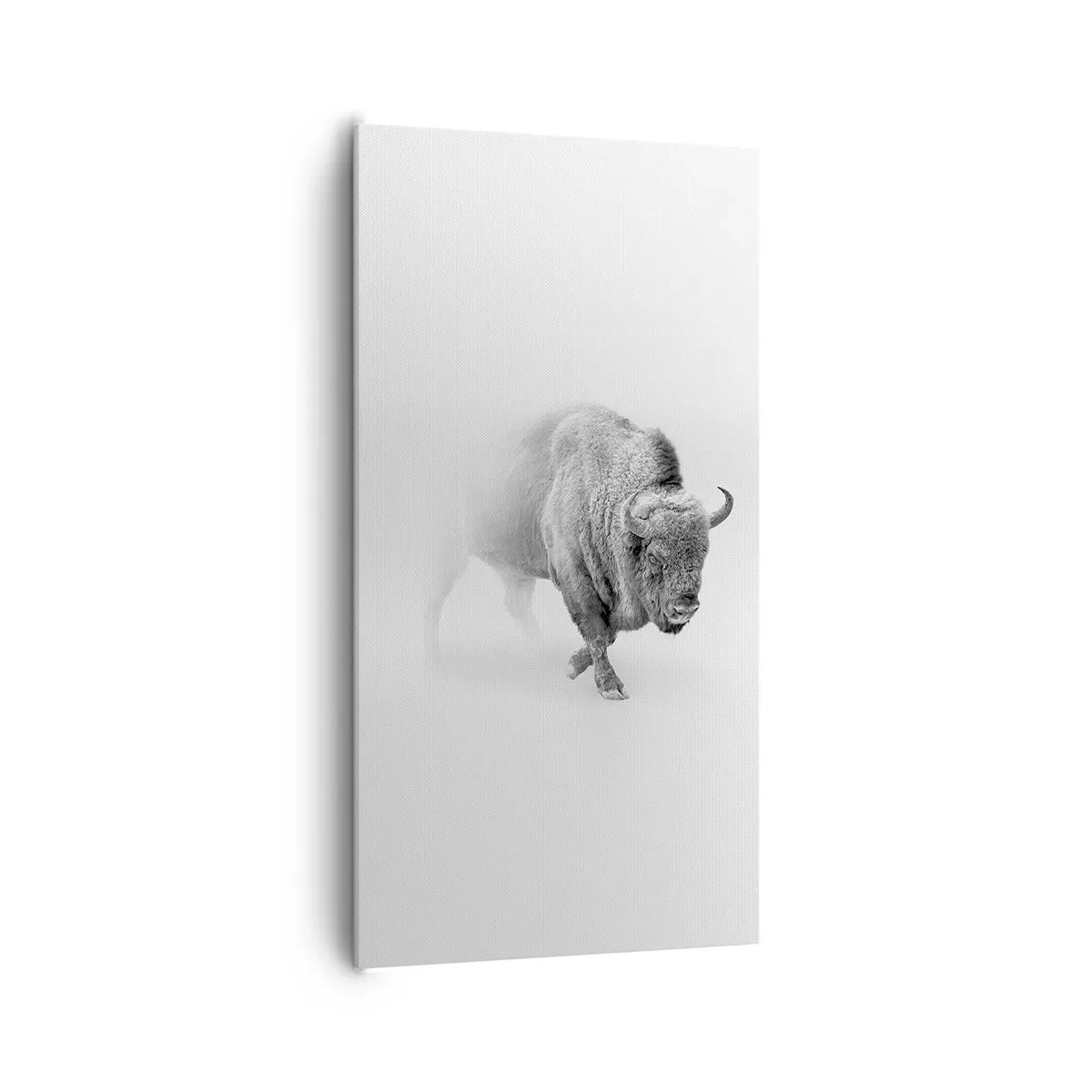 Bild auf Leinwand - Leinwandbild - König der Prärie - 65x120 cm