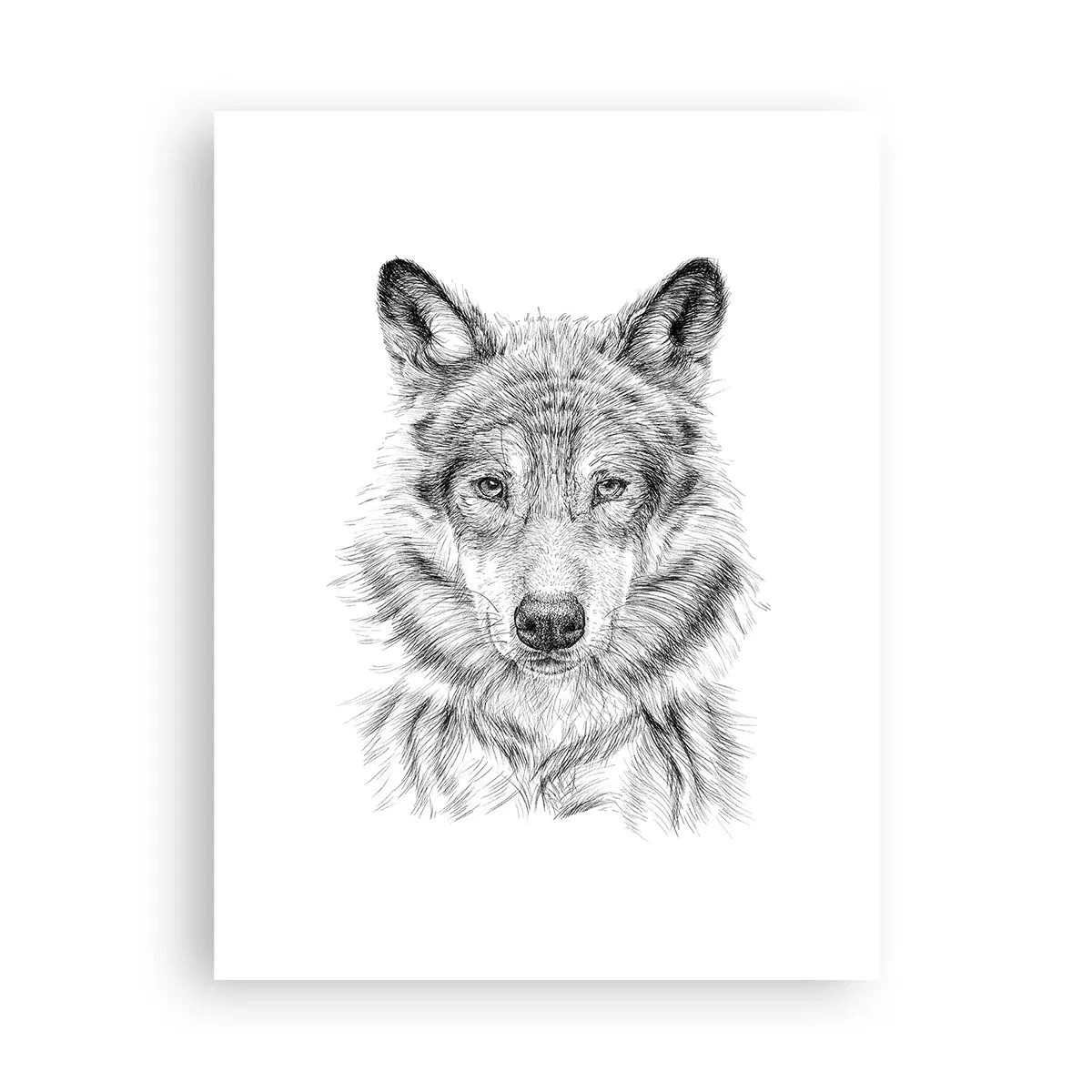 Poster - Ein geborener Anführer - 30x40 cm