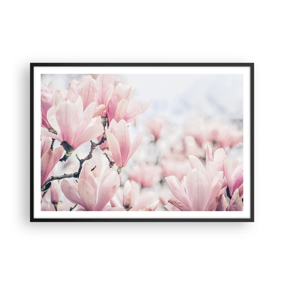 Poster in einem schwarzem Rahmen - Dezente Magnolienblüten in zarten Rosatönen - 100x70cm - Das Ideal der Subtilität - Moderne Wanddekoration für Wohnzimmer und Schlafzimmer ARTTOR