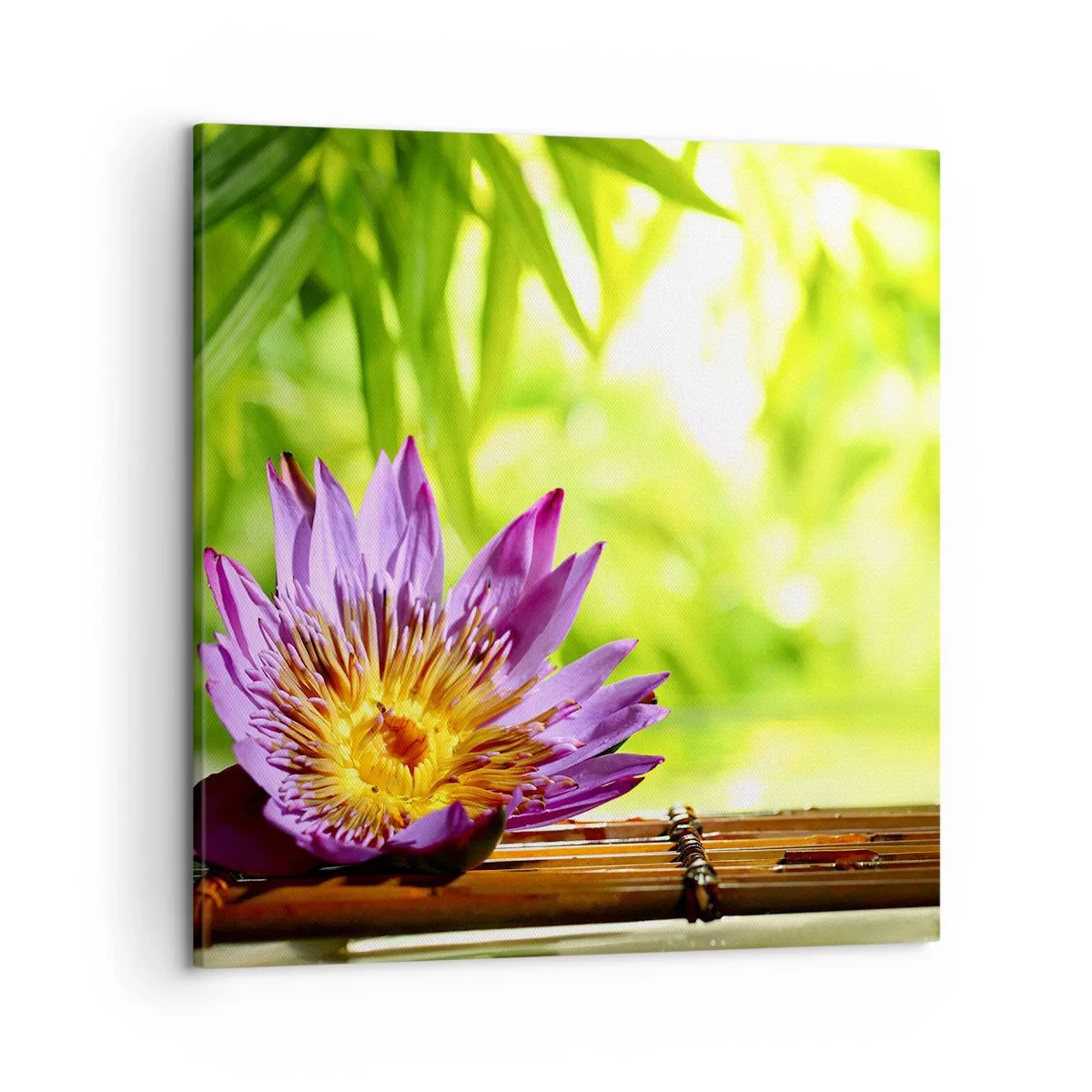 Bild auf Leinwand - Leinwandbild - In der asiatischen Sonne - 50x50 cm