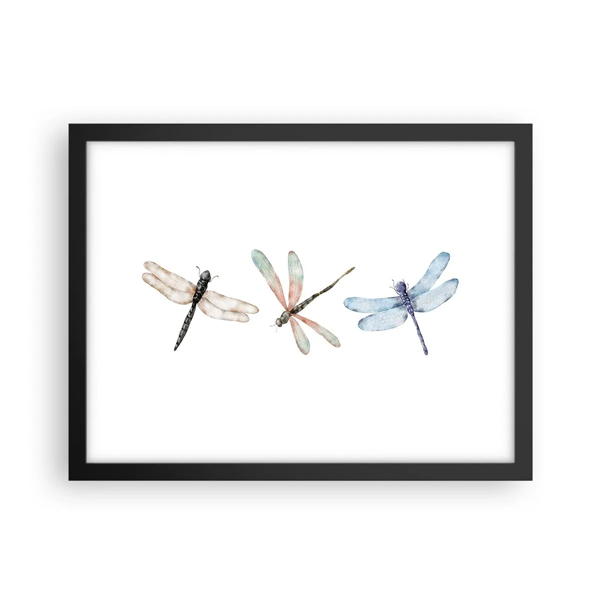 Poster in einem schwarzem Rahmen - Schwerelose Libellen - 40x30 cm