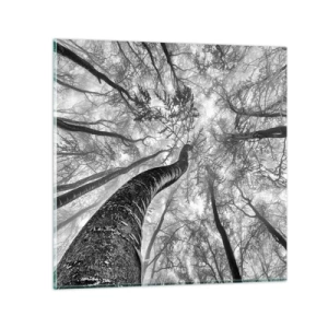 Glasbild - Bild auf glas - Rennen zum Licht - 30x30 cm