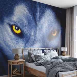 Fototapete Premium Canvas - Faszinierender Blick - Tiere, Wolf, Augen - 400x280 cm