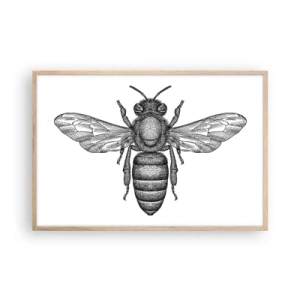 Poster in einem Rahmen aus heller Eiche - Insektenporträt - 91x61 cm