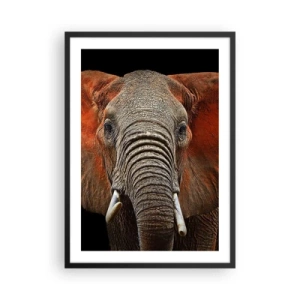 Poster in einem schwarzem Rahmen - Porträt eines majestätischen Elefanten vor schwarzem Hintergrund - 50x70cm - Ich bin wild und du? - Moderne Wanddekoration für Wohnzimmer und Schlafzimmer ARTTOR