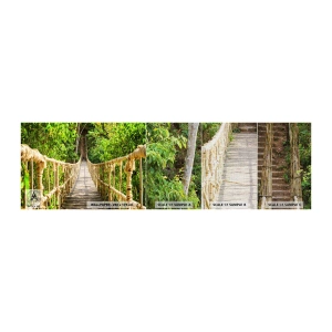 Fototapeten Muster Premium Canvas - Im Grünen ausgesetzt - Dschungel, Hängebrücke, Natur - 100x30 cm