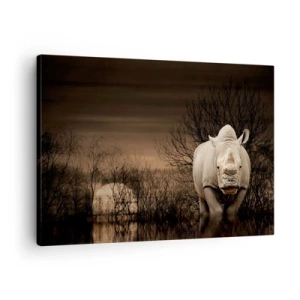 Bild auf Leinwand - Leinwandbild - Nashorn zwischen Bäumen bei Sonnenuntergang, wilde Natur. - 70x50cm - Weiß gegen die Natur - Moderne Wanddekoration für Wohnzimmer und Schlafzimmer ARTTOR