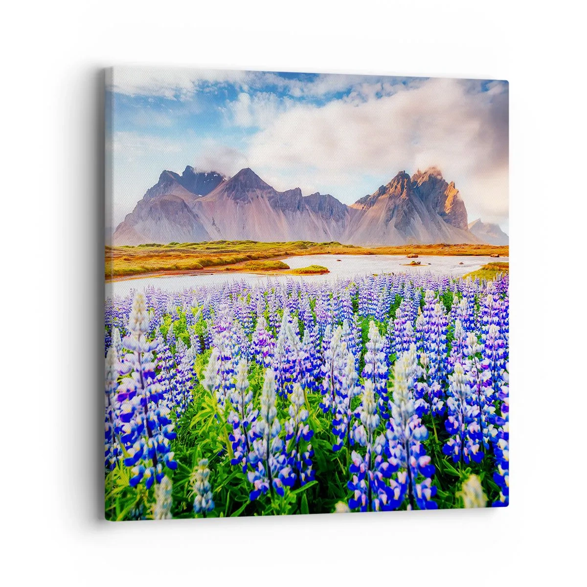 Bild auf Leinwand - Leinwandbild - Kraft und Strenge neben Sanftmut - 40x40 cm