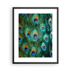 Poster in einem schwarzem Rahmen - Ein Blick mit Pfauenaugen - 40x50 cm