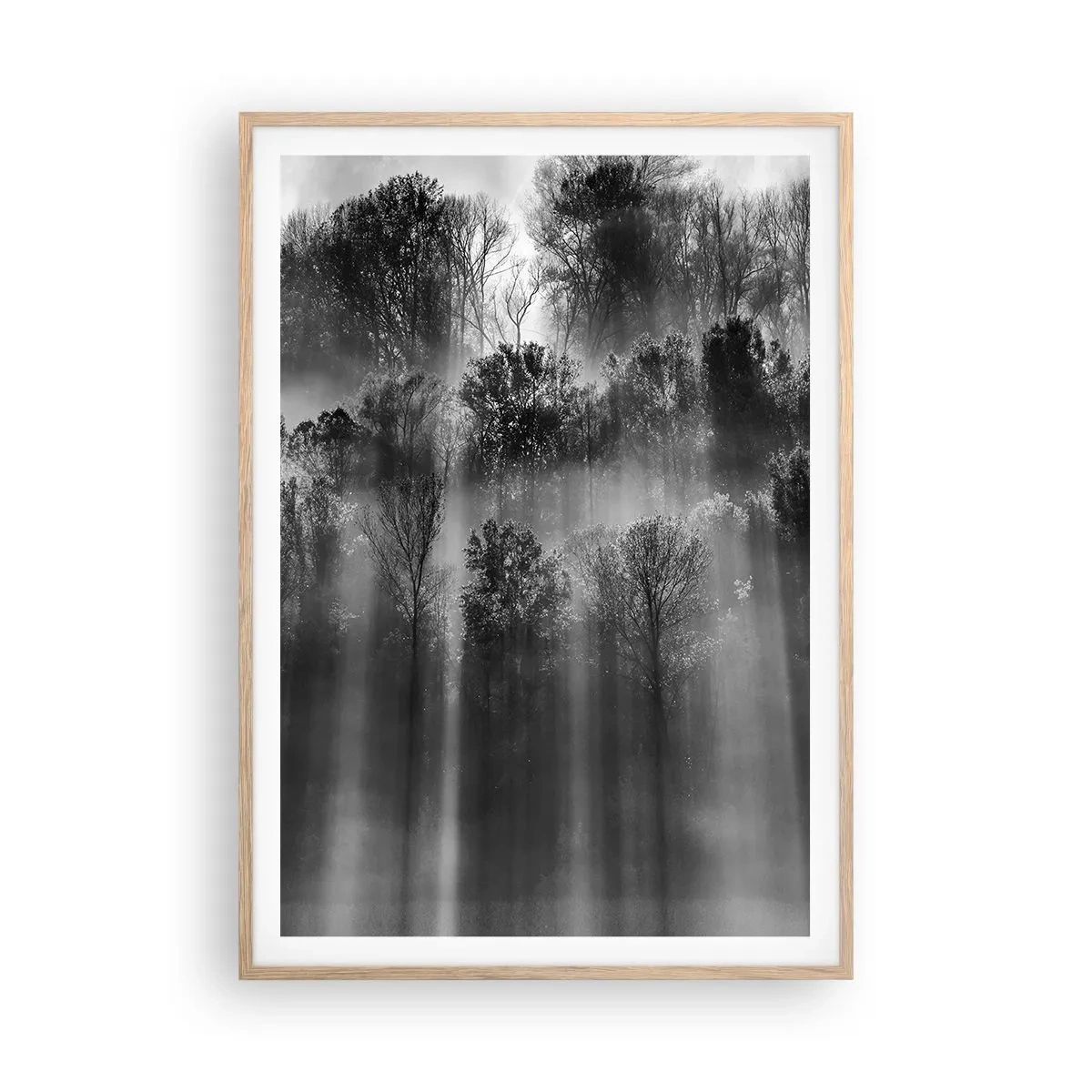 Poster in einem Rahmen aus heller Eiche - In Lichtstrahlen - 70x100 cm