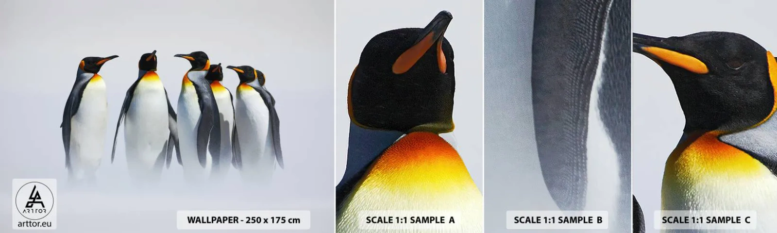 Fototapetenmuster Standard Eco - Treffen in Abendkleidern - Tiere, Pinguin, Natur - 100x30 cm