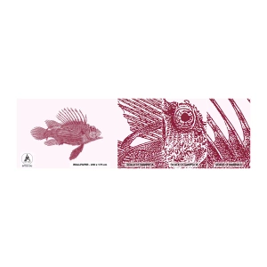 Fototapetenmuster Standard Eco - Bewohner exotischer Gewässer - Fisch, Rotfeuerfisch, Tropisch - 100x30 cm