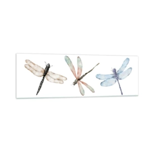 Glasbild - Bild auf glas - Drei Libellen in zarten Pastellfarben - 160x50cm - Schwerelose Libellen - Moderne Wanddekoration für Wohnzimmer und Schlafzimmer ARTTOR
