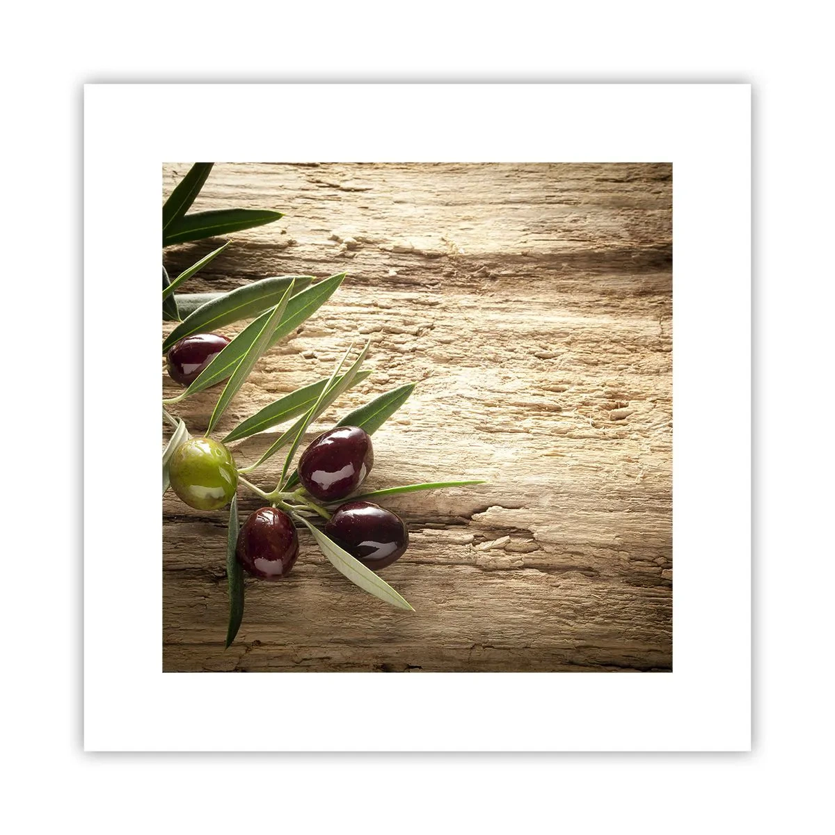 Poster - Direkt aus der Natur - 30x30 cm