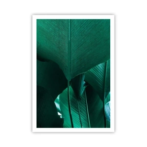 Poster - Dem Licht zugewandt - 70x100 cm