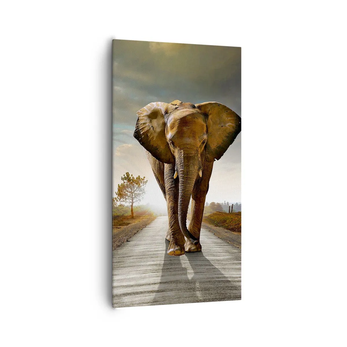 Bild auf Leinwand - Leinwandbild - Und schon gar nicht in einem Porzellanlager - 65x120 cm