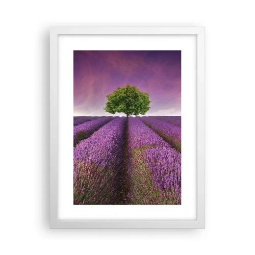 Poster in einem weißen Rahmen - Auf Lavendelfeldern - 30x40 cm