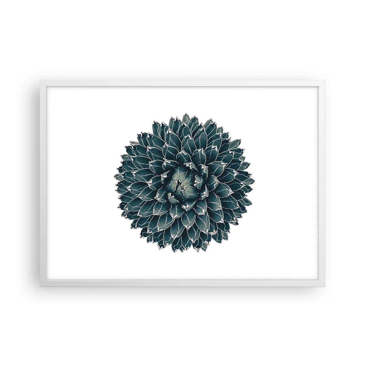 Poster in einem weißen Rahmen - Stern der Wüste - 70x50 cm