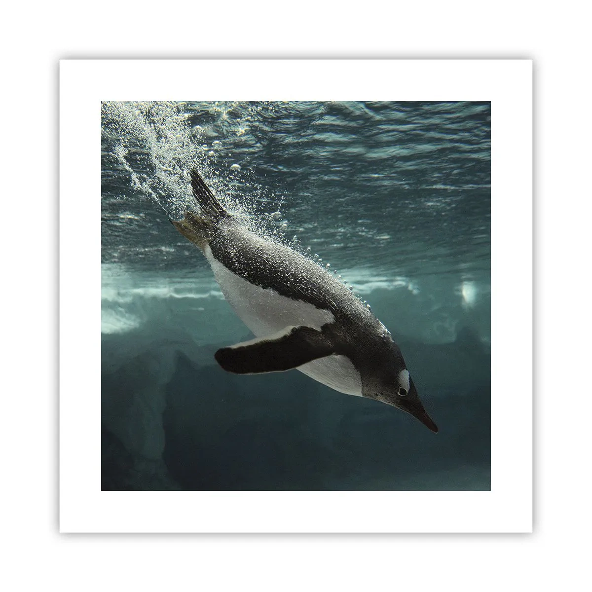 Poster - Willkommen in meiner Welt - 40x40 cm