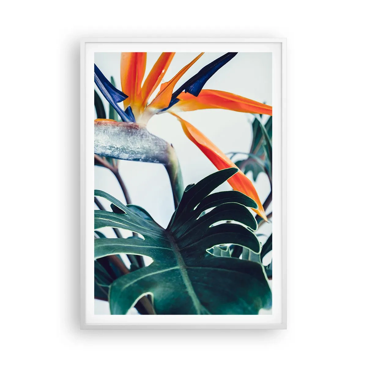 Poster in einem weißen Rahmen - Vogelbusch - 70x100 cm