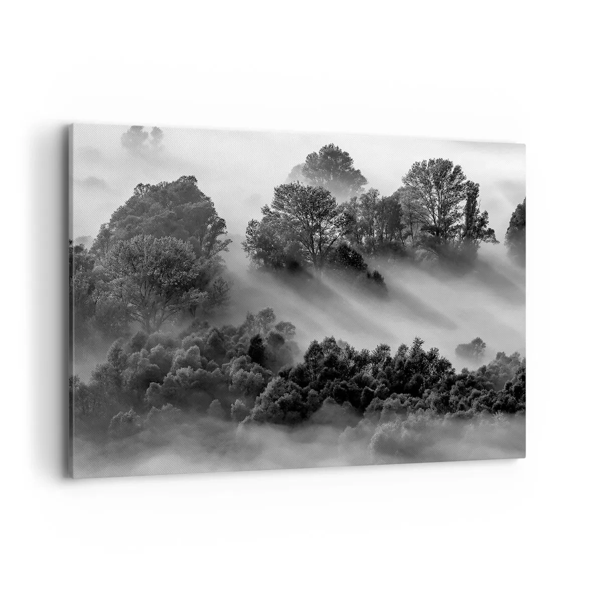 Bild auf Leinwand - Leinwandbild - Schwarz-weiße Waldlandschaft im Morgennebel - 100x70cm - Aufstehend aus dem Schlaf - Moderne Wanddekoration für Wohnzimmer und Schlafzimmer ARTTOR