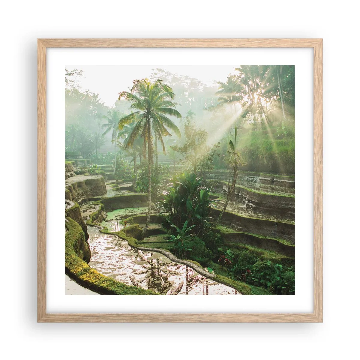 Poster in einem Rahmen aus heller Eiche - In der Sonne aufwachsen - 50x50 cm