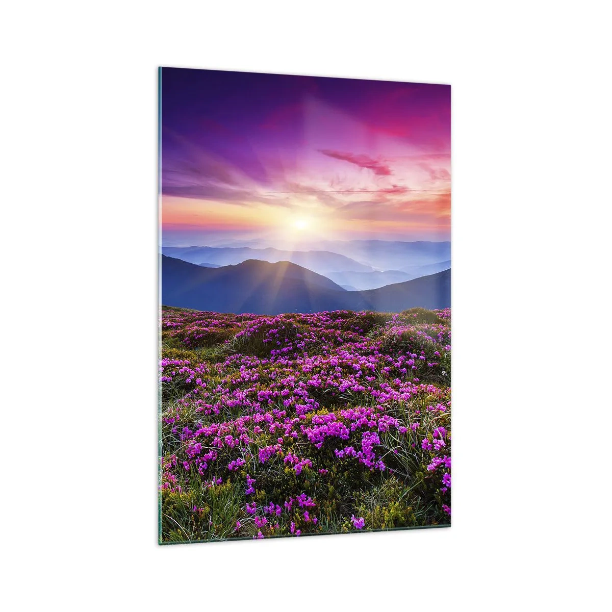 Glasbild - Bild auf glas - Bergwiese mit Blumen bei Sonnenuntergang - 70x100cm - Kräuter dufteten nach frischen Trauben von den Feldern - Moderne Wanddekoration für Wohnzimmer und Schlafzimmer ARTTOR