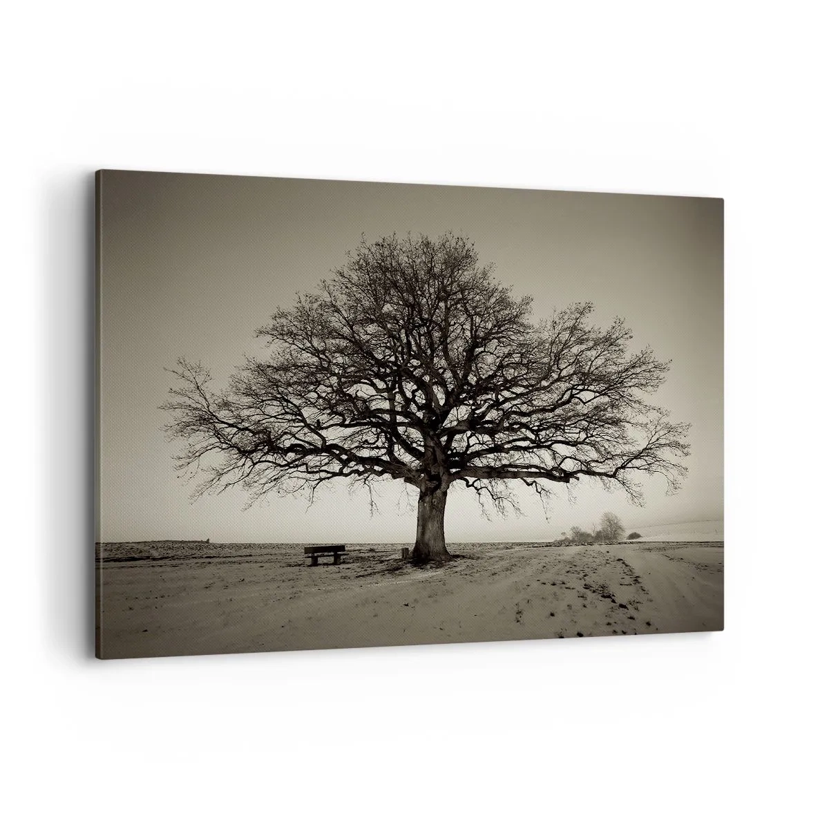 Bild auf Leinwand - Leinwandbild - Ein einsamer Baum in einem Sepia-Feld - 100x70cm - Von hier zu Ewigkeit - Moderne Wanddekoration für Wohnzimmer und Schlafzimmer ARTTOR