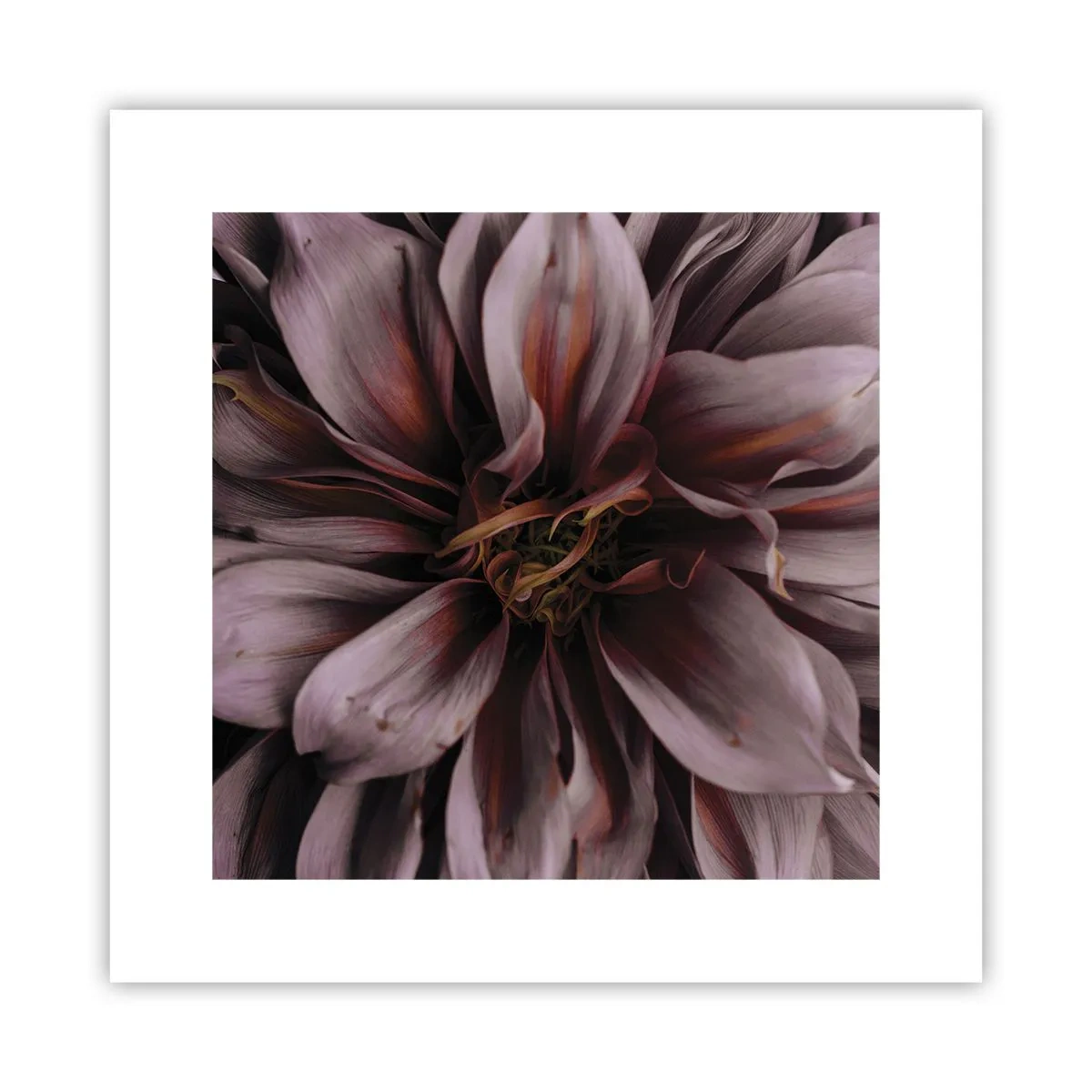 Poster - Ein Blumenherz - 30x30 cm